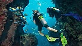 Buceador 3* + Salvamento y rescate + navegación