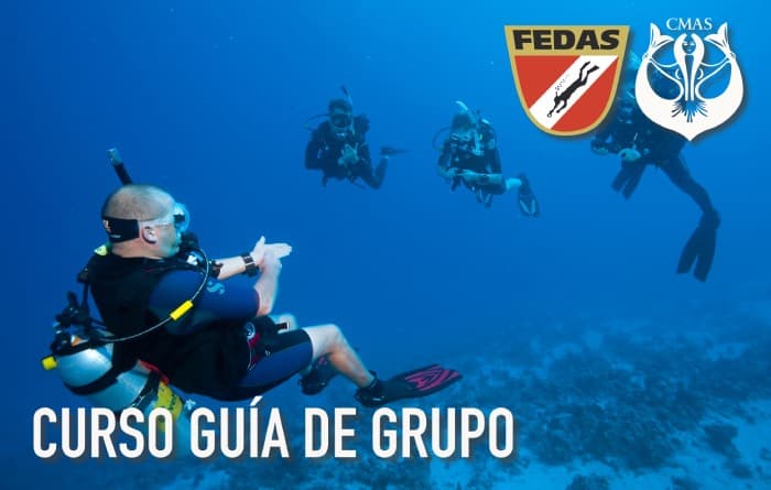 Guia de grupo + 2 especialidades